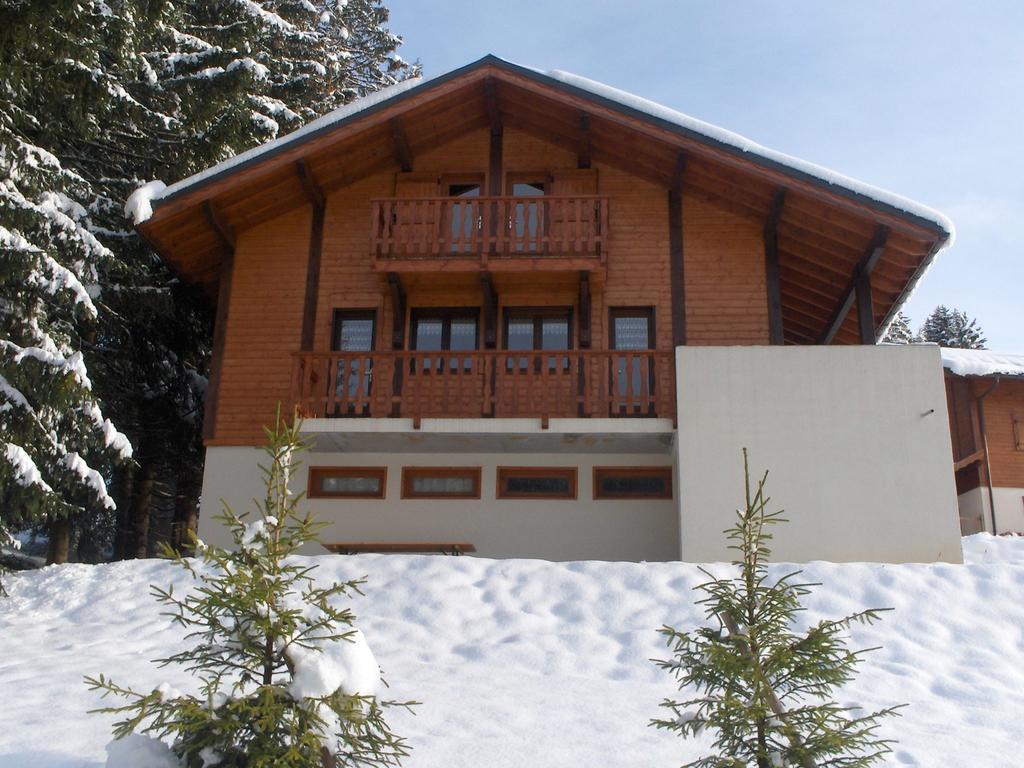 Magnificent Chalet On The Mountain Slopes Les Gets Bagian luar foto