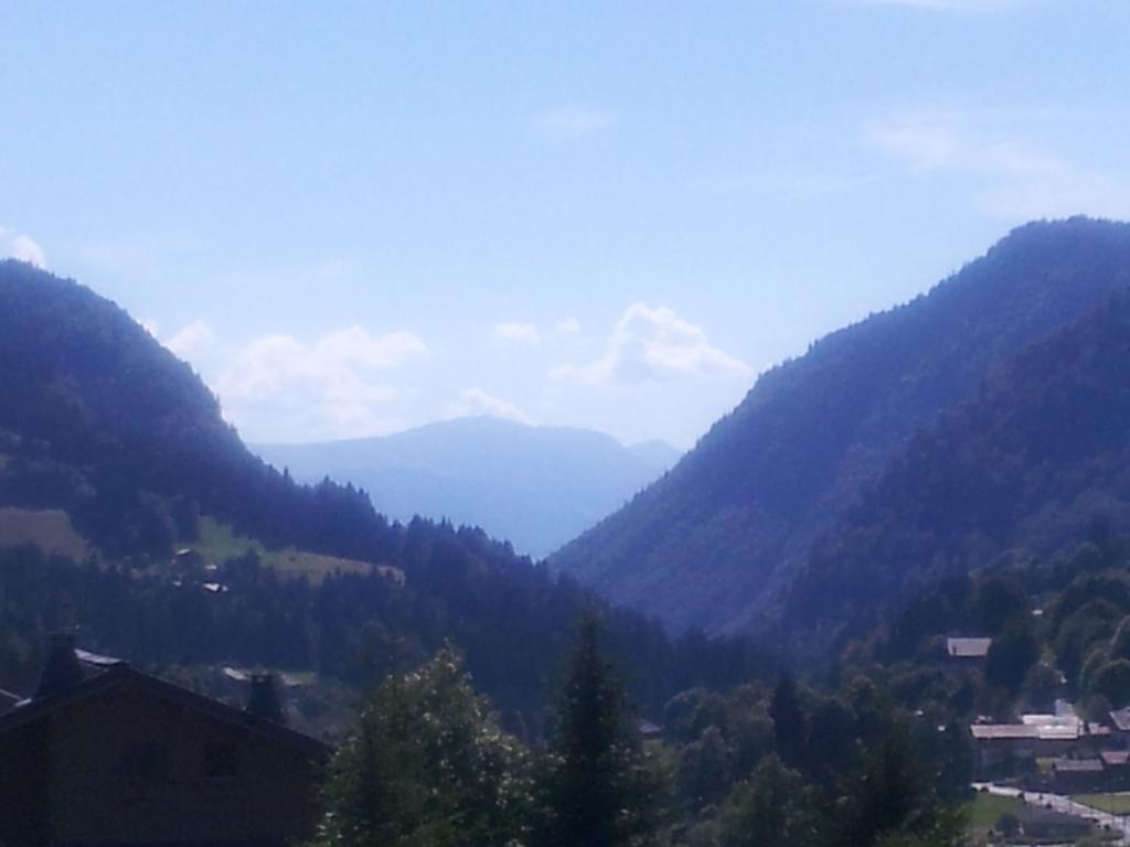 Magnificent Chalet On The Mountain Slopes Les Gets Bagian luar foto