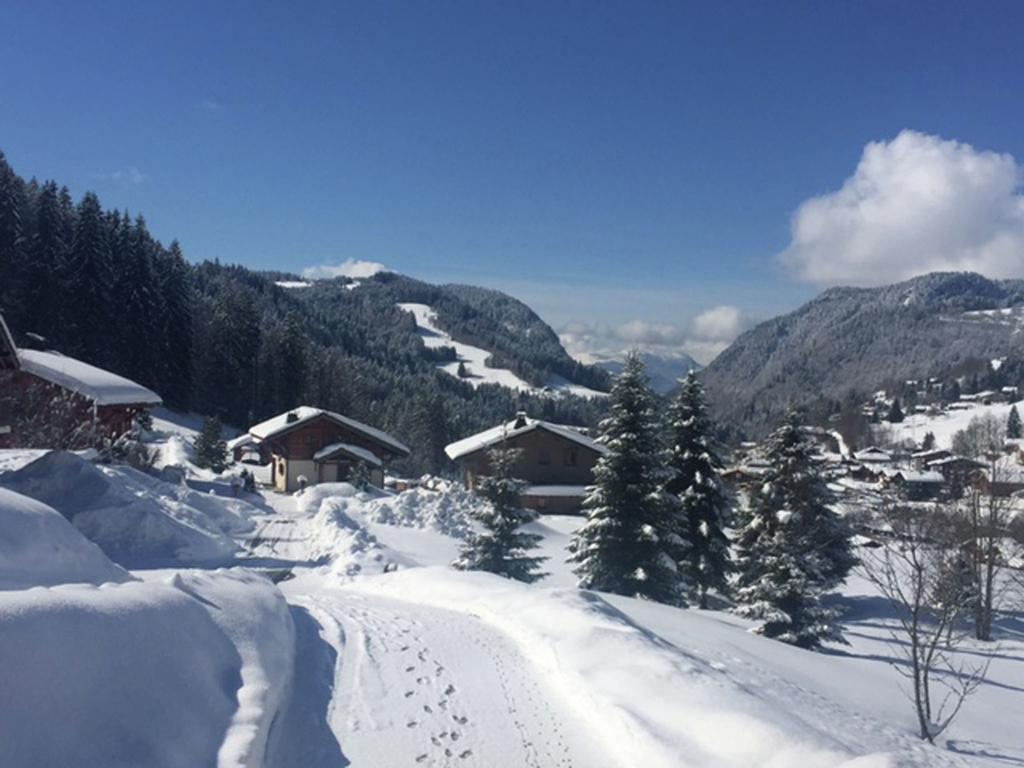 Magnificent Chalet On The Mountain Slopes Les Gets Bagian luar foto